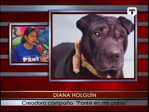 Campaña Ponte en mis Patas contra el maltrato animal