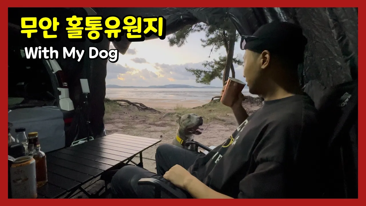 강아지랑 차박, 오늘을 마지막으로 이제는 새로운 컨텐츠 시작 | 무안 홀통유원지 | 반려견 동반 차박캠핑 | 열빙어 구이 | 낙지볶음 | Car Camping | 전남 캠핑장 추천 サムネイル