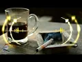 Download Lagu Kopi Hitam