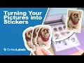 How to Turn Photos into STICKERS 3 Easy Steps OnlineLabels