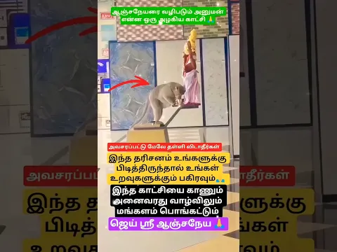 ஆஞ்சநேயரை வழிபடும் அனுமனின் அழகிய காட்சி🙏#god#shorts#hanuman#hindugod#ytshorts #viralvideo#reels