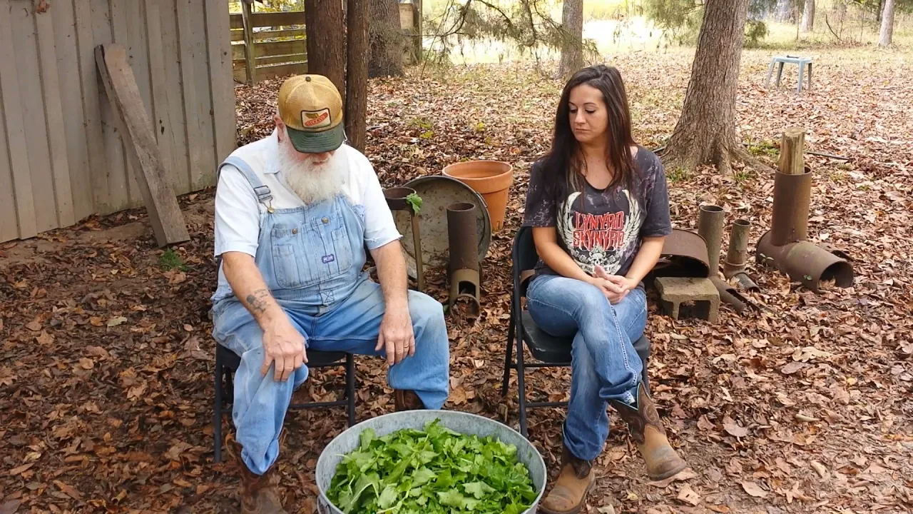 Turnip Greens, one planting, two harvests, bag and freeze