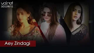 aey zindagi aima baig nabeel shaukat ali ost biggest hit song of 2019 walnut sessions