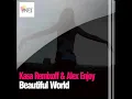 Beautiful World (Original Vox Mix)