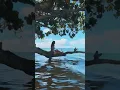 Download Lagu Compilation of Summer - Hawaii has my heart - Michal Leah cover Something Stupid