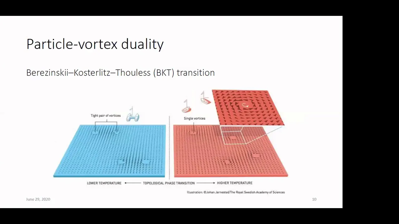 Progress Reports: Duality and quantum phase transitions in topological field theories by Vira Shyta