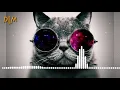 بستك نو | شاهين وسامر | Bestek now