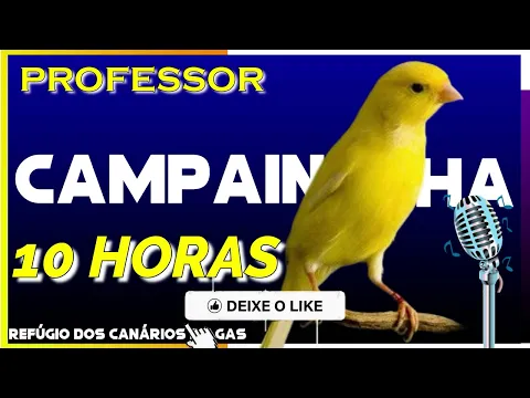 Download MP3 CANTO CAMPAINHA PROFISSIONAL - 10 HORAS PARA TREINAR CANÁRIO BELGA, FILHOTE E FÊMEA | Canário Belga