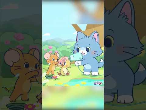 Não Chore, Patinho! 🐥 | #TomEJerry #Gokko | @WBKidsBrasil