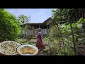 Lagu Masak apa yang ada di kebun, tumis tempe mawut, telur dadar daun kelor, masakan desa 