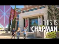 This is Chapman