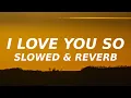 Download Lagu Schnuffel - I love you so (Slowed \u0026 Reverb) i love you so i can never let you go