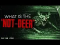 Lagu 'Not-Deer' - The DISTURBING New Monster Terrorizing North America