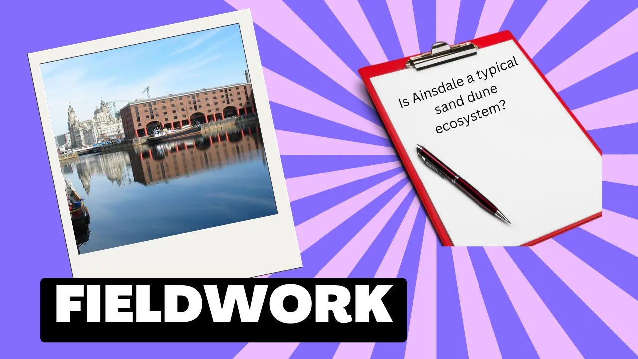 Paper 3: Physical and Human Fieldwork Revision