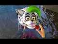 Swimming lesson for Roxy - VR