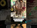 Download Lagu Dj Juanito 🔥😂😂😂