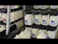Comparing prices of grocery staples at Walmart Aldi Kroger and Meijer