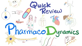 Pharmacodynamics - What the med does to your body - Quick Review - Pharmacology Lectures