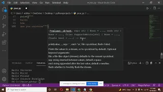 How to Print multiple Line of statements in Python