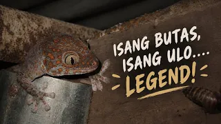 Kumusta na kaya ang alamat ng poste? si Tukomu