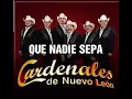 QUE NADIE SEPA LETRA CARDENALES DE NUEVO LEÓN