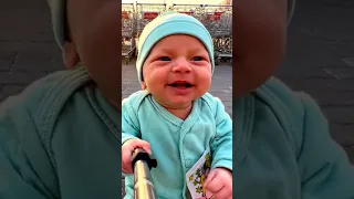 مغامرات شرشور وفرفور  شرشور  فرفور دندنها