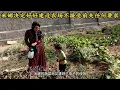 Download Lagu 米娜拒绝所有人劝说和卡迪尔复合等萨米回家（后续）蔬菜被虫害