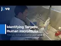 LightSwitch Luciferase Assay System 3 UTR-Reporter Constructs microRNA Mimic l Protocol