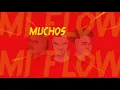 Download Lagu Sico Vox \u0026 Aire Urbano - Mi Flow