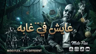 الخال   عايش في غابة                               الأغنية اللي كسرت التيك توك دندنها