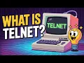 What is Telnet How Telnet Works Why Telnet Is Insecure Telnet vs SSH