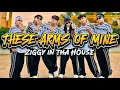 THESE ARMS OF MINE - Ziggy in tha House Bachata Zumba Newfriendz