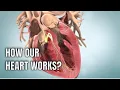 Download Lagu Anatomy \u0026 physiology of Human heart: 3D medical animation