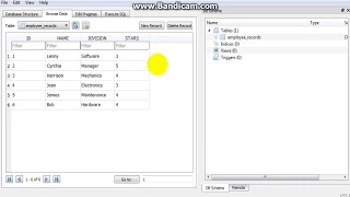 Python SQLite3 Tutorial 4 Using Variables to Insert Data