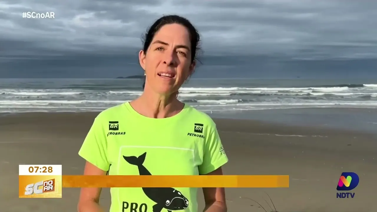 Primeiras Baleias-Francas são avistadas no sul de SC