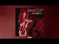 Maroon 5 - This Love