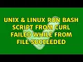 Unix Linux Run bash script from curl failed while from file succeeded