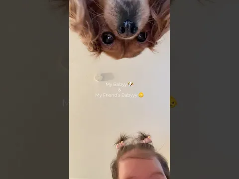 Bir çiçek, bir böcek👶🐶😍 #akım #baby #dog #funnyvideo