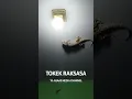 Download Lagu suara tokek raksasa #tokek #tokekraksasa #tokekrumah #suaratokek