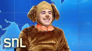 Weekend Update Kristi Noem s Other Dog Defends His Owner - SNL