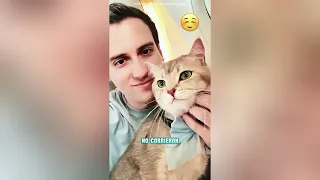 Este perro no puede entrar en la caseta del perro#funnyshorts #pets #cute #love 