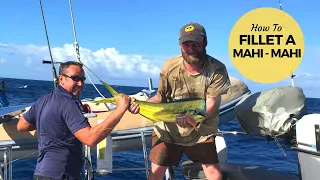 How To Fillet A Mahi Mahi