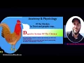 Digestive system of the Chicken