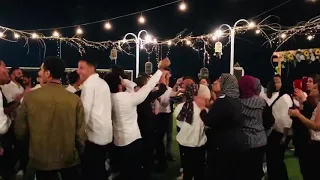 قلب بحر مالح قلبي فيكي سايح دندنها