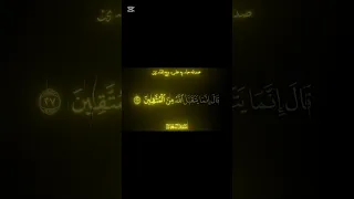سورة المائدة القارئ سيد سعيد رحمه الله بدون موسيقى سيد سعيد قرآن Quran سورة المائدة 