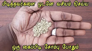 vasiyam pen vasiyam manthrigam