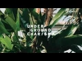 Alexander Lewis - Afternoon