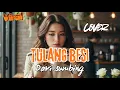 Lagu TULANG BESI - DAVISUMBING | COVER POP 