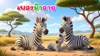 เพลง ม้าลาย l เวอร์ชั่น พี่นุ่น คิดส์มีซอง 2569  | KidsMeSong