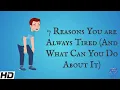 7 Reasons You Are Always Tired (And What Can You Do About It)